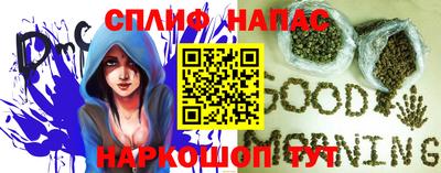 сатива Будённовск