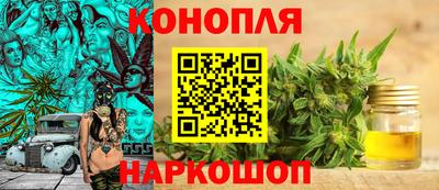 сатива Будённовск