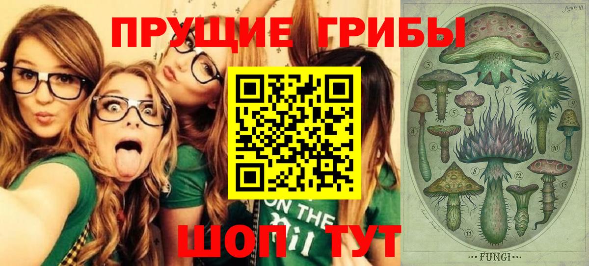 Галлюциногенные грибы Psilocybine cubensis Надым